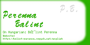 perenna balint business card